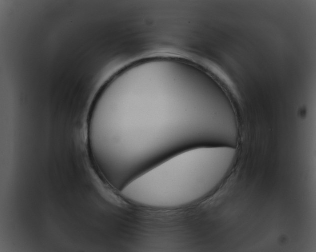 X0000101971372200807180716