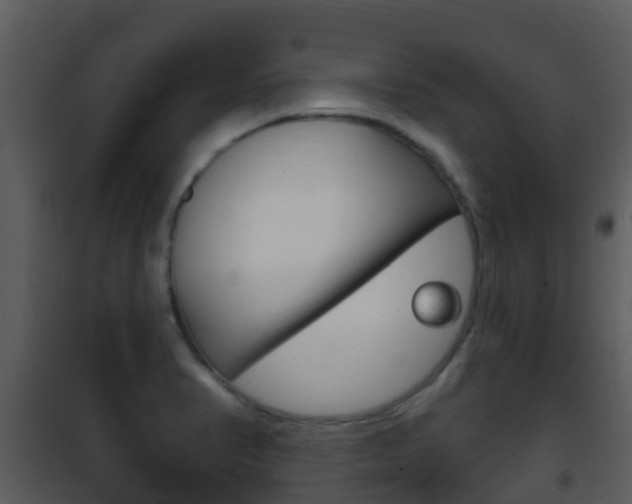 X0000101971374200807180716