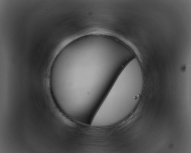 X0000101971375200807180716