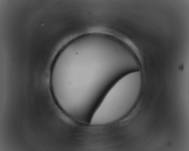 X0000101971376200807180716