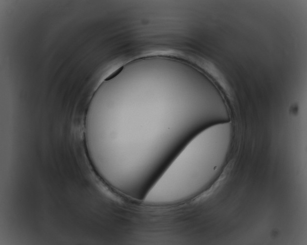 X0000101971377200807180716