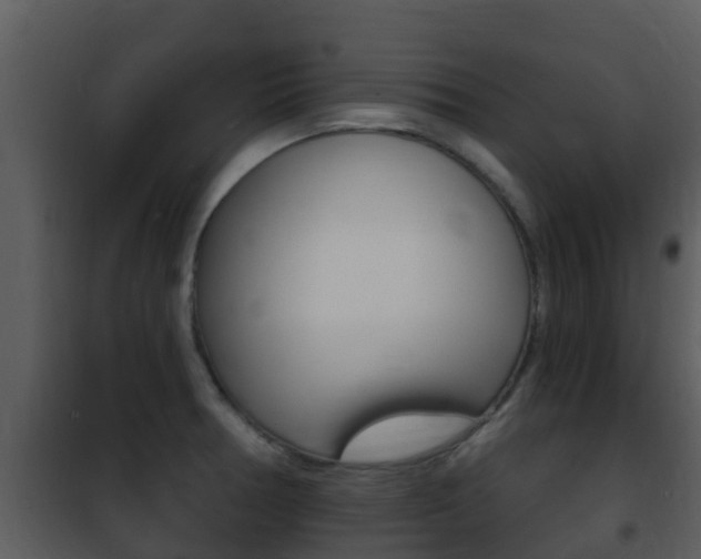 X0000101971378200807180716