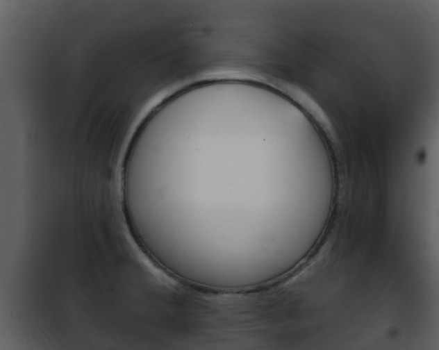 X0000101971380200807180716