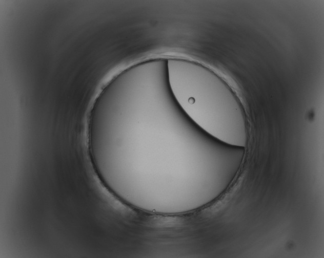 X0000101971382200807180716