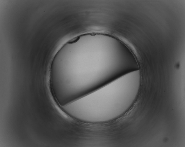 X0000101971383200807180716