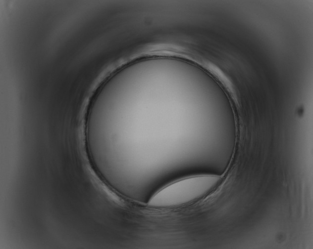 X0000101971384200807180716