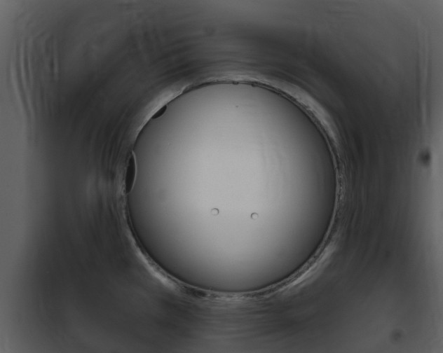 X0000101971385200807180716