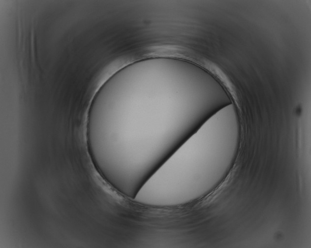 X0000101971386200807180716