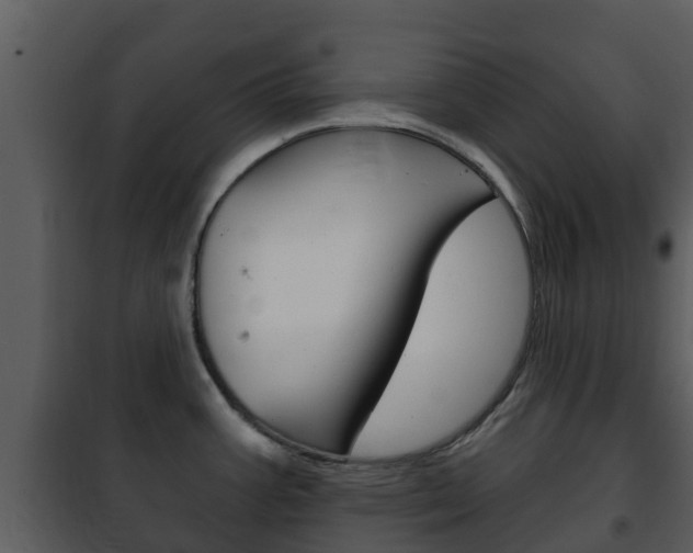 X0000101971387200807180716