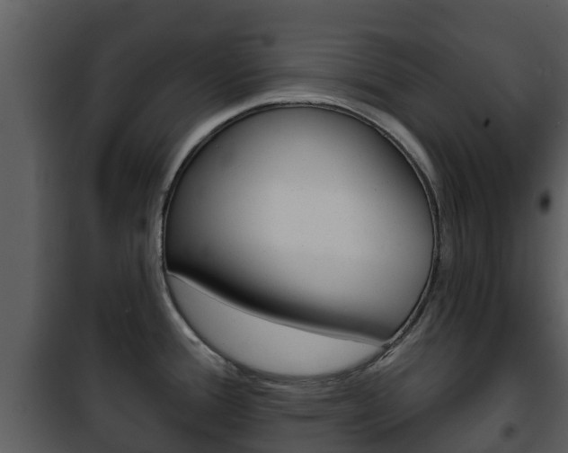 X0000101971388200807180716