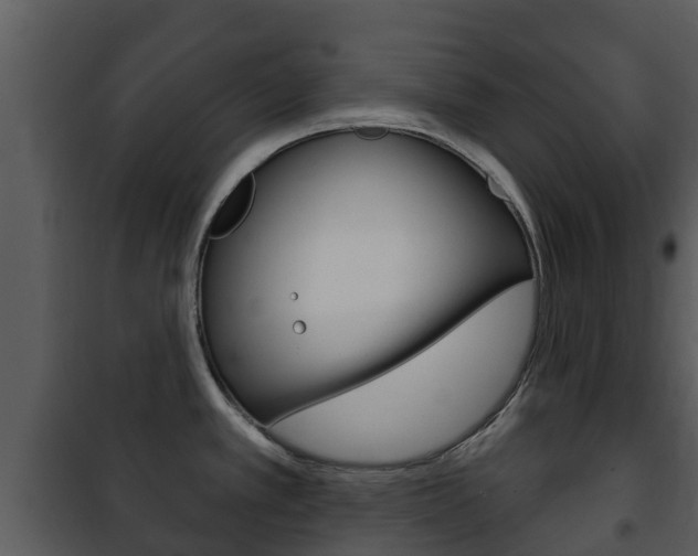 X0000101971389200807180716