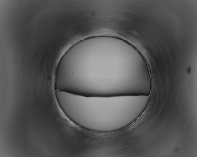 X0000101971390200807180716