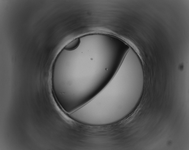 X0000101971391200807180716