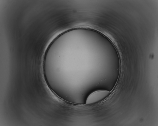 X0000101971392200807180716