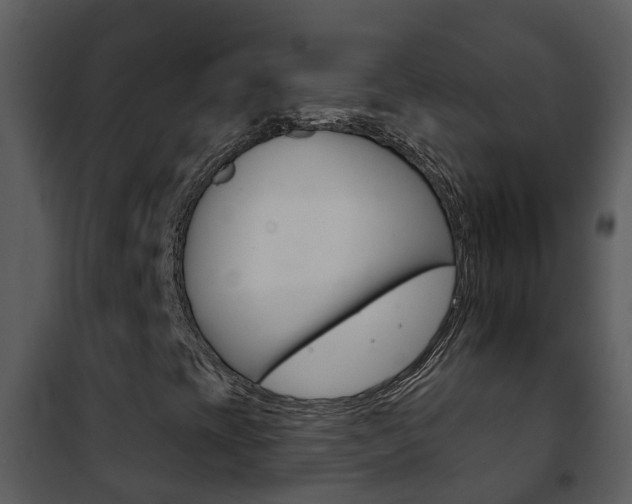 X0000101971393200807180715