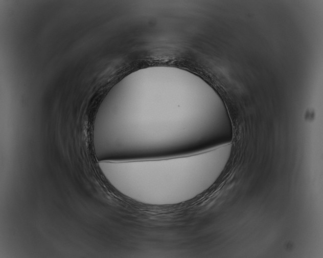 X0000101971394200807180715