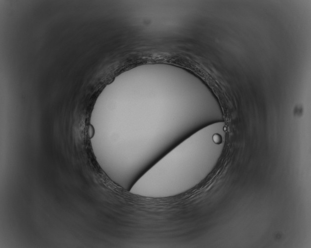 X0000101971395200807180715