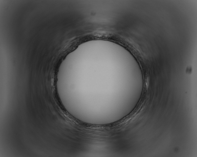 X0000101971396200807180715
