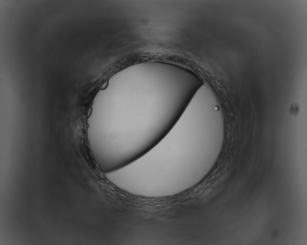 X0000101971397200807180715