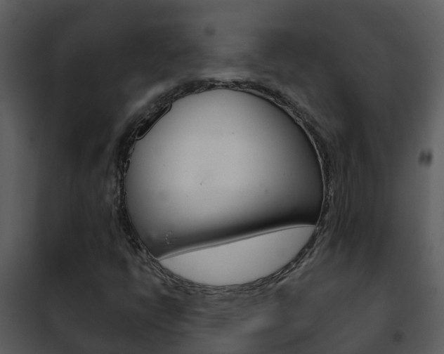 X0000101971398200807180715