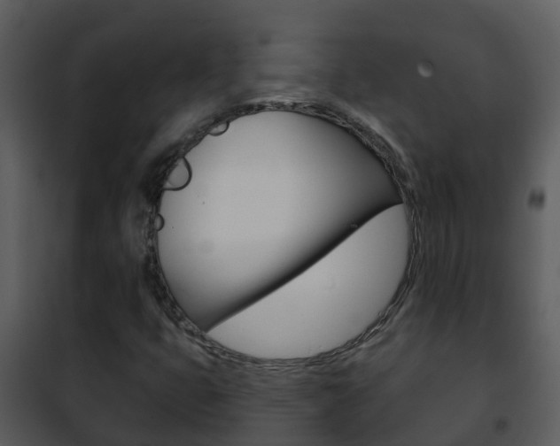 X0000101971399200807180715