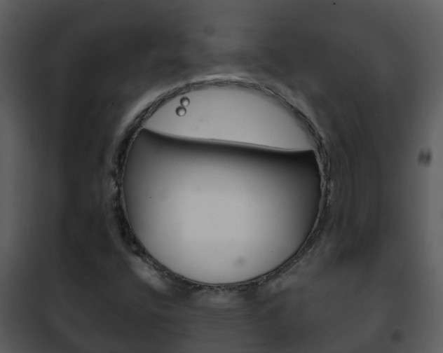 X0000101971400200807180715