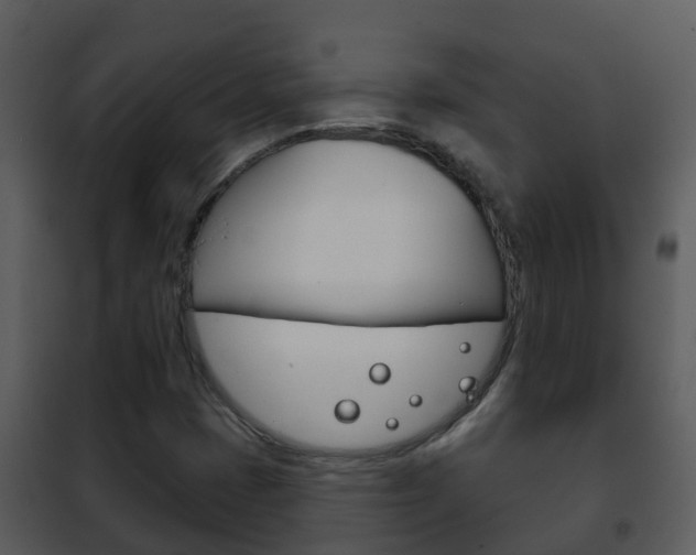 X0000101971401200807180715
