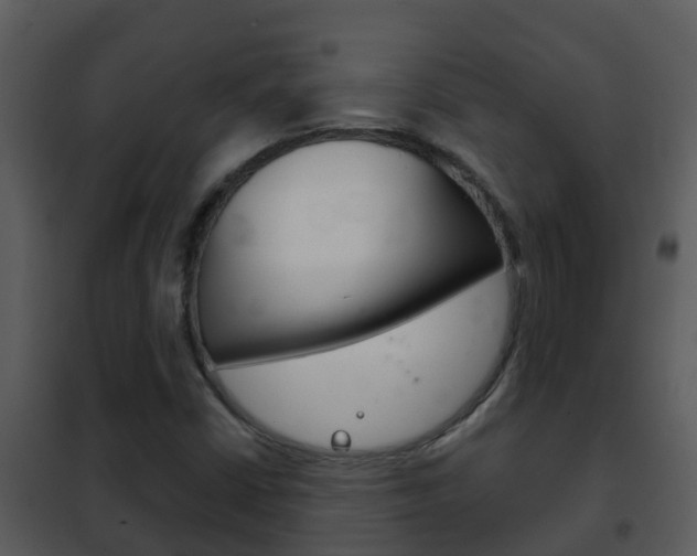 X0000101971402200807180715