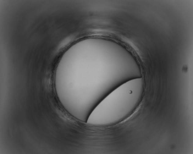 X0000101971403200807180715