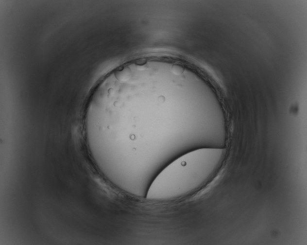 X0000101971405200807180715