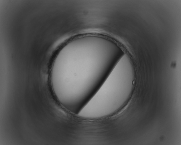 X0000101971406200807180715