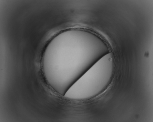X0000101971407200807180715