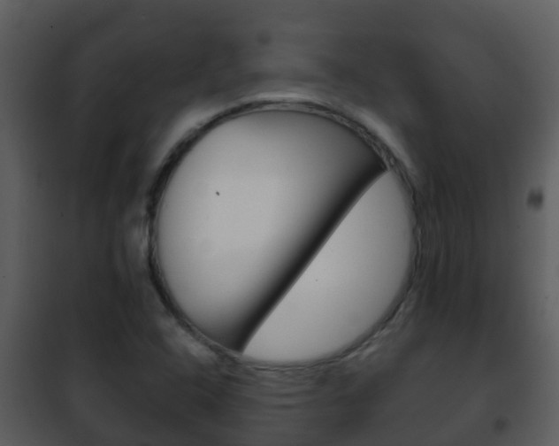 X0000101971408200807180715