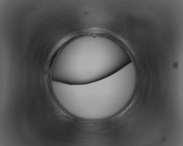 X0000101971410200807180715