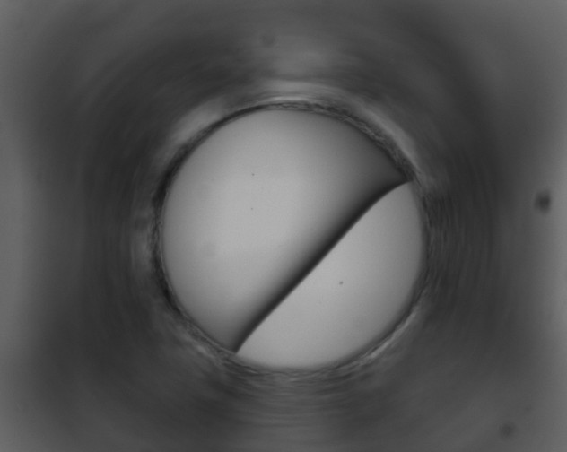 X0000101971411200807180715