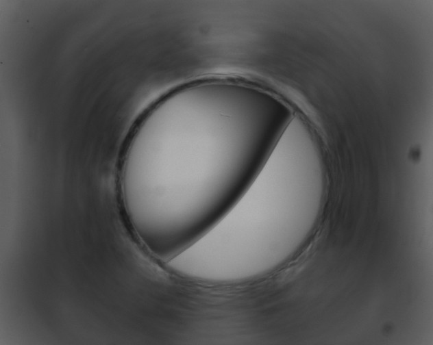 X0000101971412200807180715