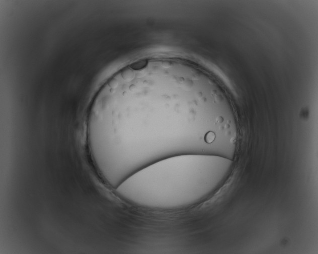 X0000101971413200807180715