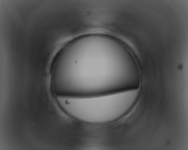 X0000101971414200807180715