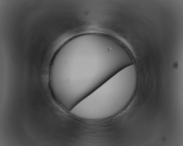 X0000101971415200807180715