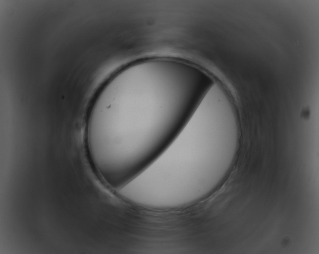 X0000101971416200807180715