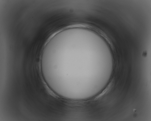 X0000101971417200807180715