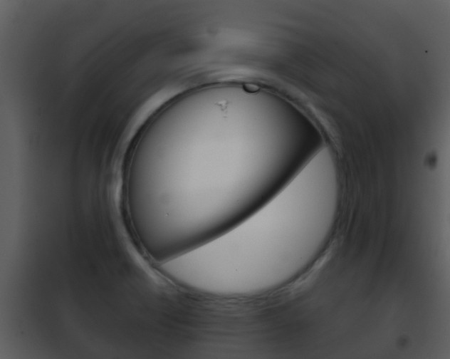 X0000101971418200807180715