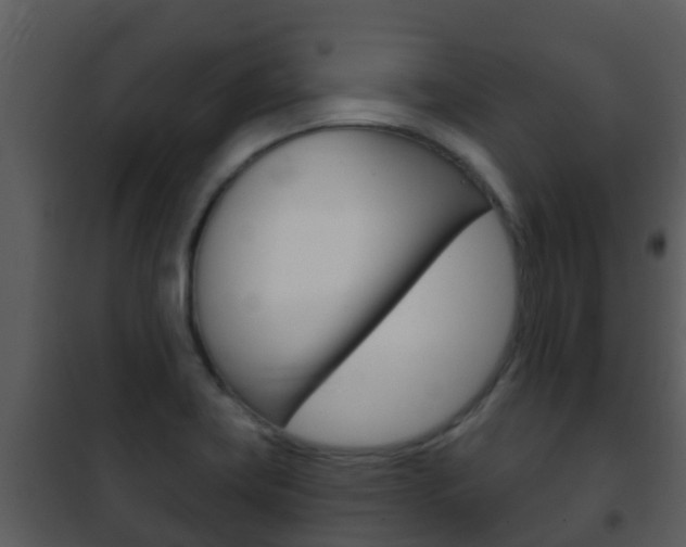 X0000101971419200807180715