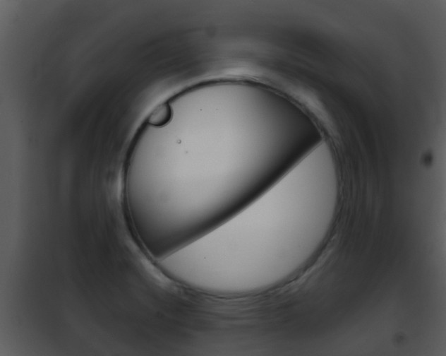 X0000101971420200807180715