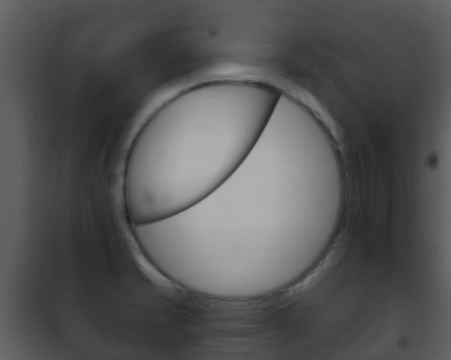 X0000101971421200807180715