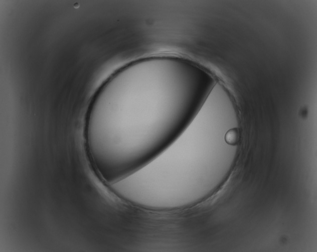 X0000101971422200807180715