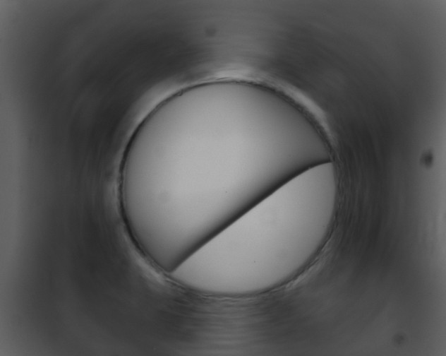 X0000101971423200807180715
