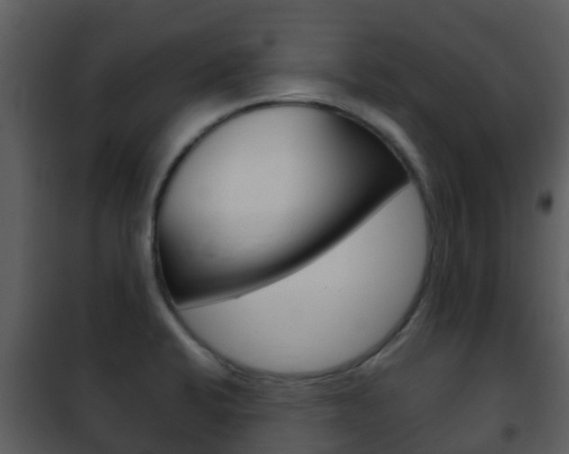 X0000101971424200807180715