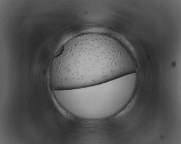 X0000101971425200807180715