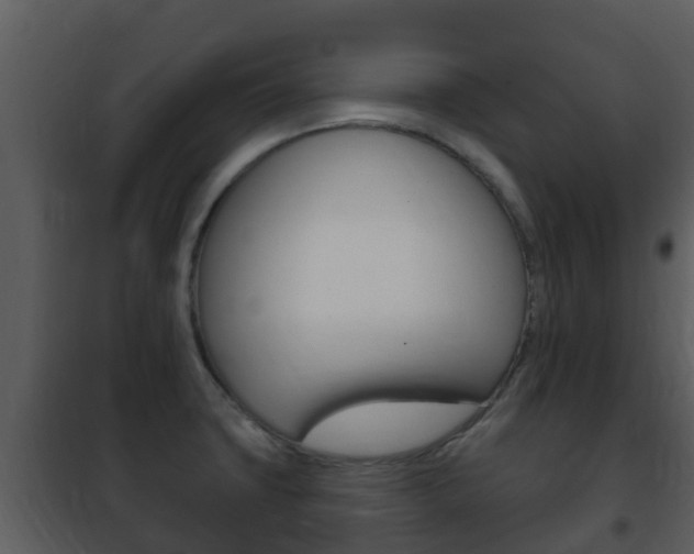 X0000101971427200807180715
